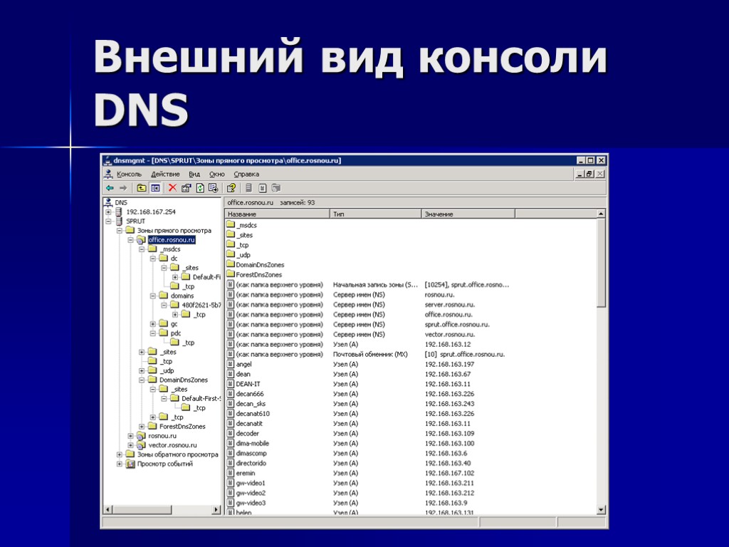 Внешний вид консоли DNS
